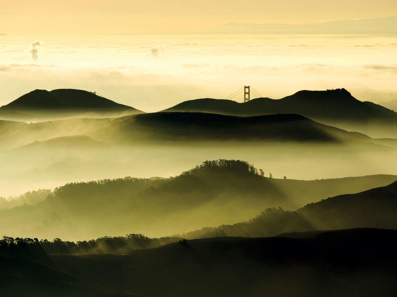 mt. tamalpais